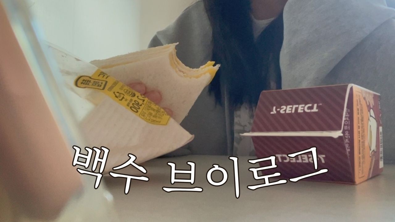 3일에 한번 나가는 집순이 브이로그 