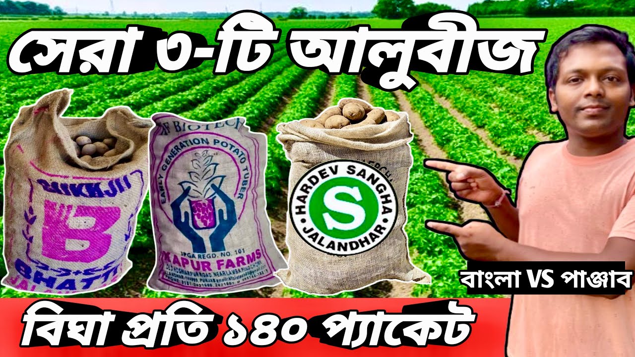 পাঞ্জাবের কোন আ✅লু বীজ কেমন । বাংলার বীজ ভালো না পাঞ্জাবের বীজ ভালো🥔@AgricultureBook