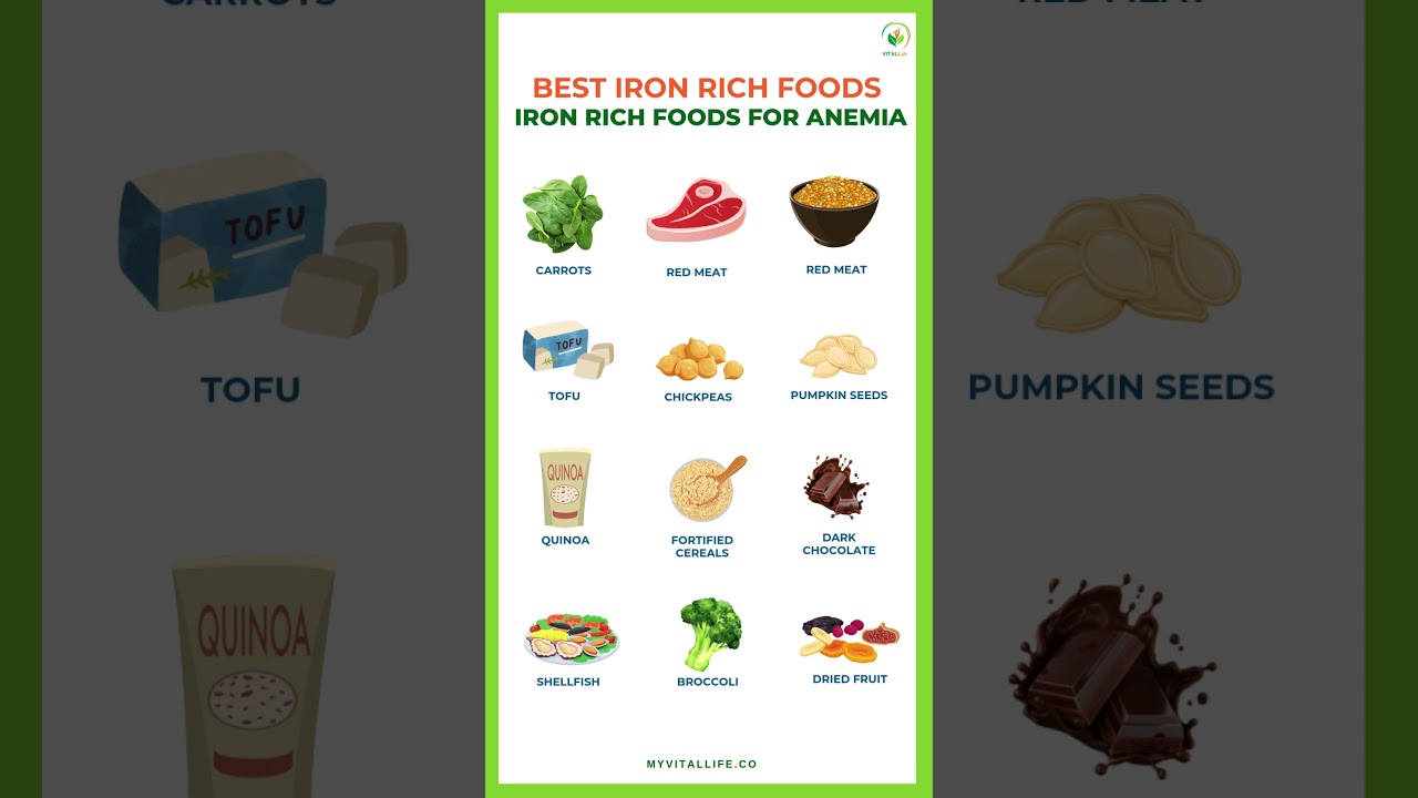 Best Iron Rich Foods for Anemia