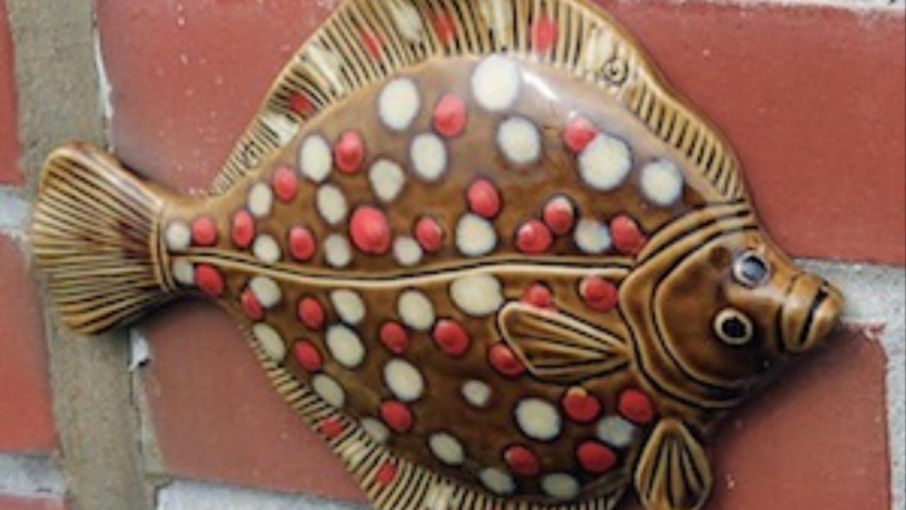FISCH FELITIEREN - STEINBUTT/ PLATTFISCH   So wird's gemacht  DA staunt sogar NEMO!