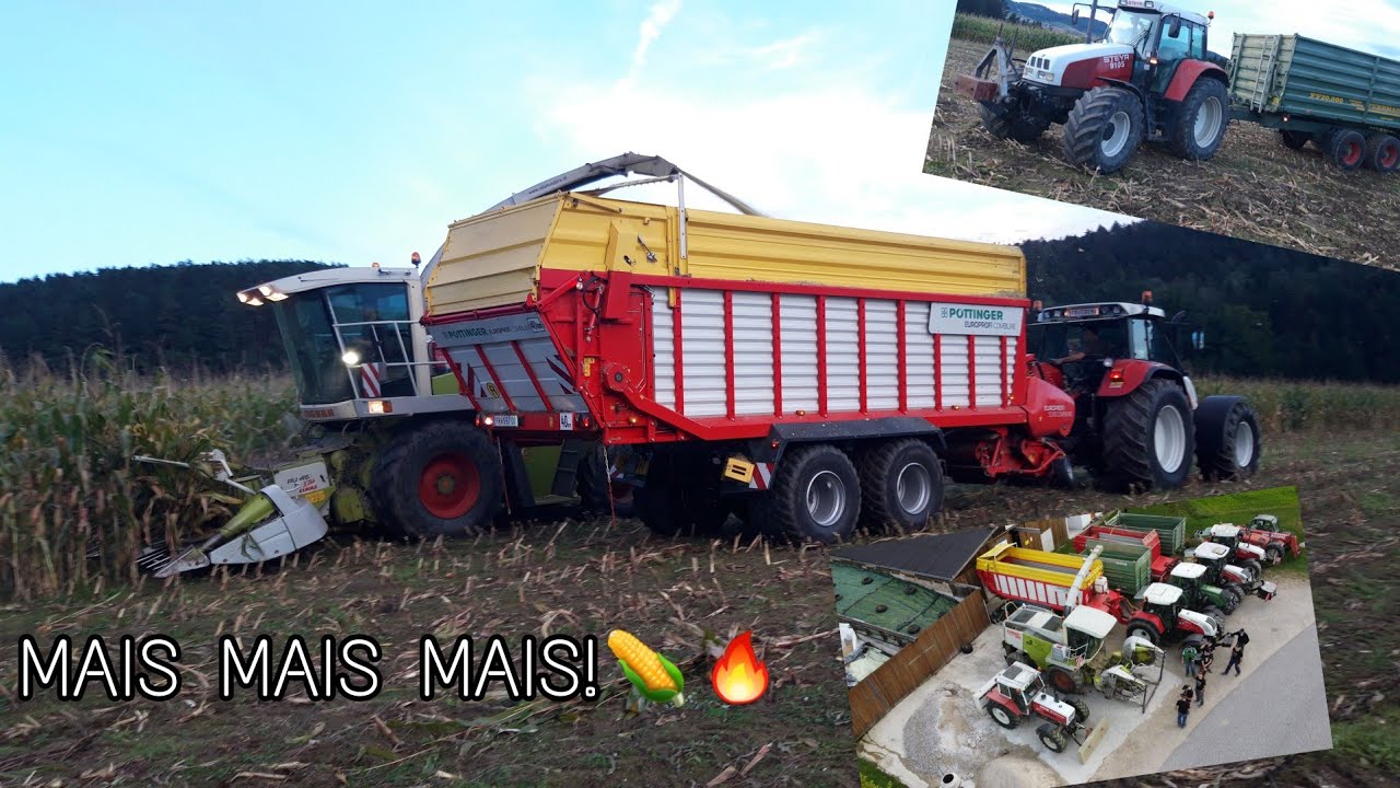 FarmVlog #57 | Mais abfahren mit einem Steyr 9105 und 20t Kipper! | CVT, Pöttinger | Moareida Agrar