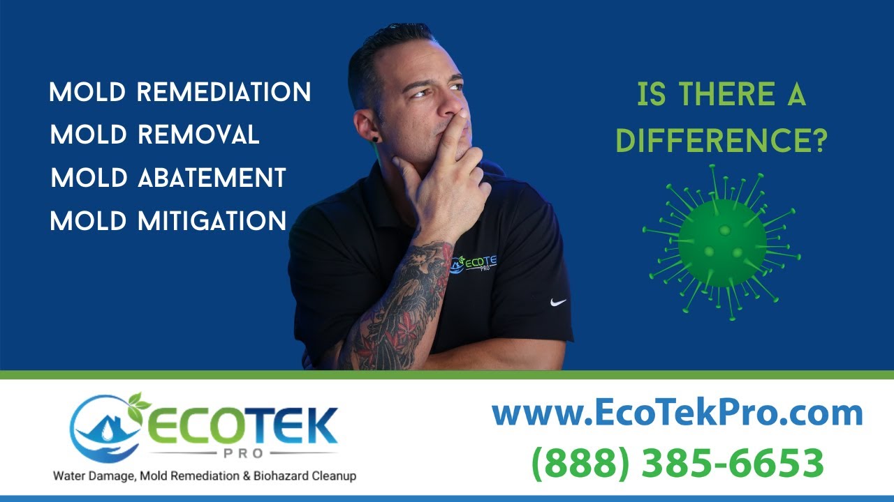 What Is Mold Remediation? | Mold Removal vs. Mold Abatement vs Mold Mitigation