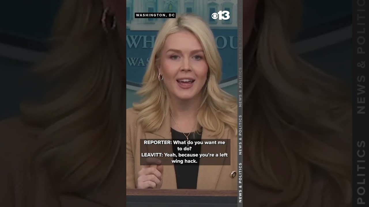 Karoline Leavitt calls reporter a 'left-wing hack' over question on ICE accountability