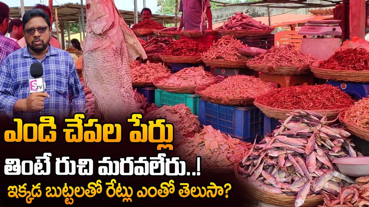 అతిపెద్ద ఎండు చేపల మార్కెట్ | Dry Fish Market | Variety Dry Fish Available | 