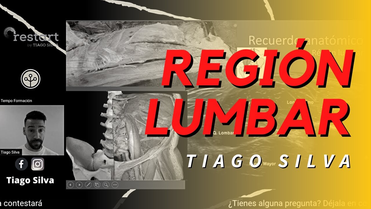 Ecografía y anatomía de la región Lumbar con Tiago Silva
