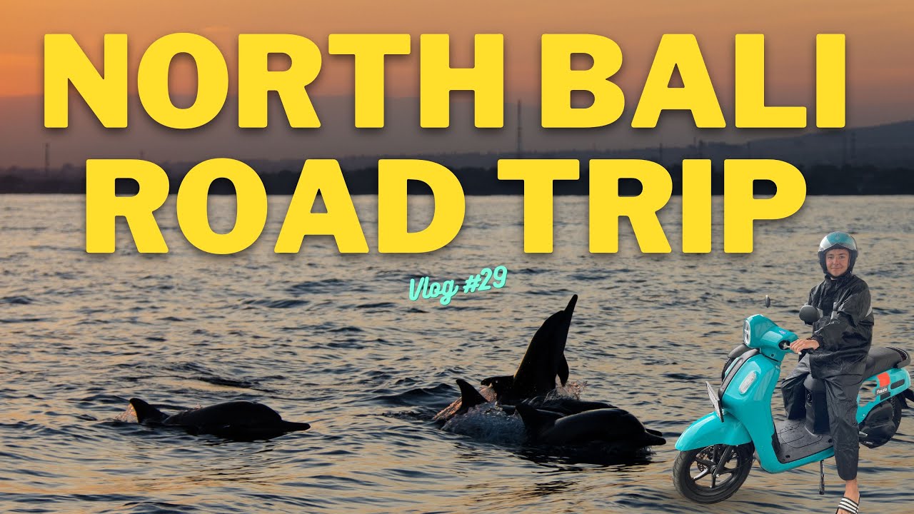 NORTH BALI ROAD TRIP  - BEDUGAL, LOVINA & MUNDUK