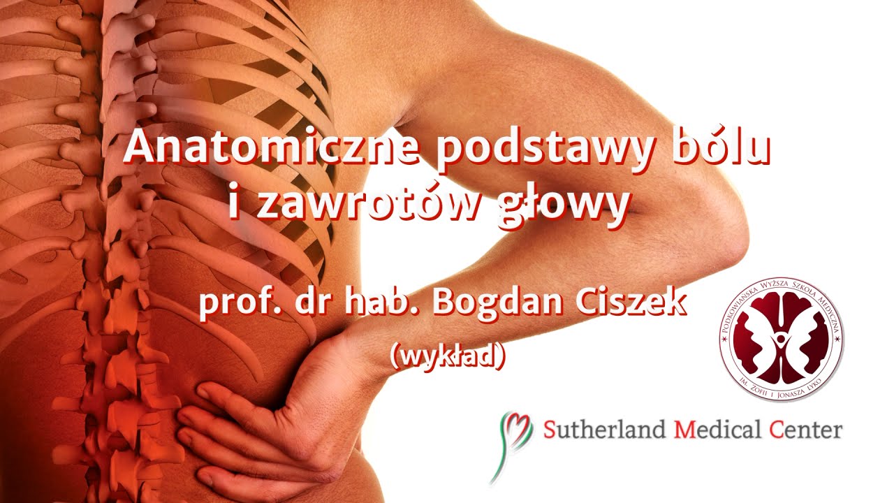 III Dzień Osteopaty #1 - Anatomiczne podstawy bólu i zawrotów głowy