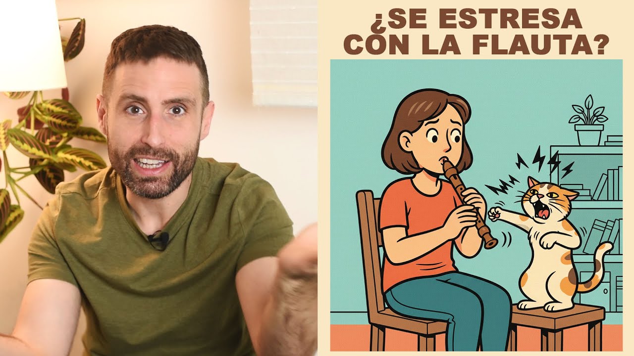 ¿Qué puedo hacer si mi gata se altera cuando practico un instrumento?