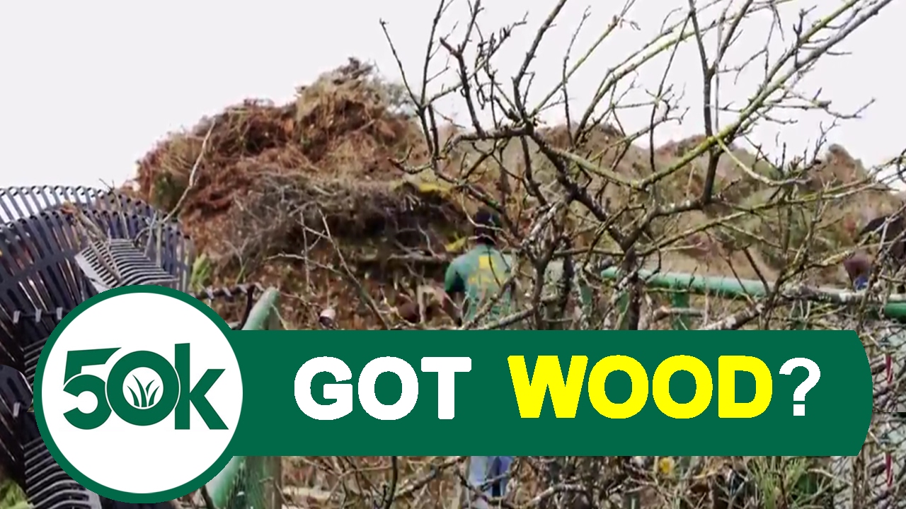 Lawn Care Vlog 3 - Removing Tree Debris