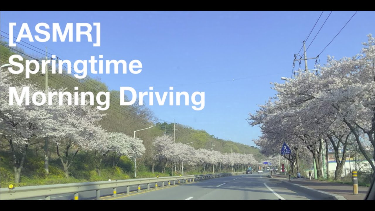 [ASMR] Clear Skies Ahead: Soothing Driving Video for Ultimate Relaxation