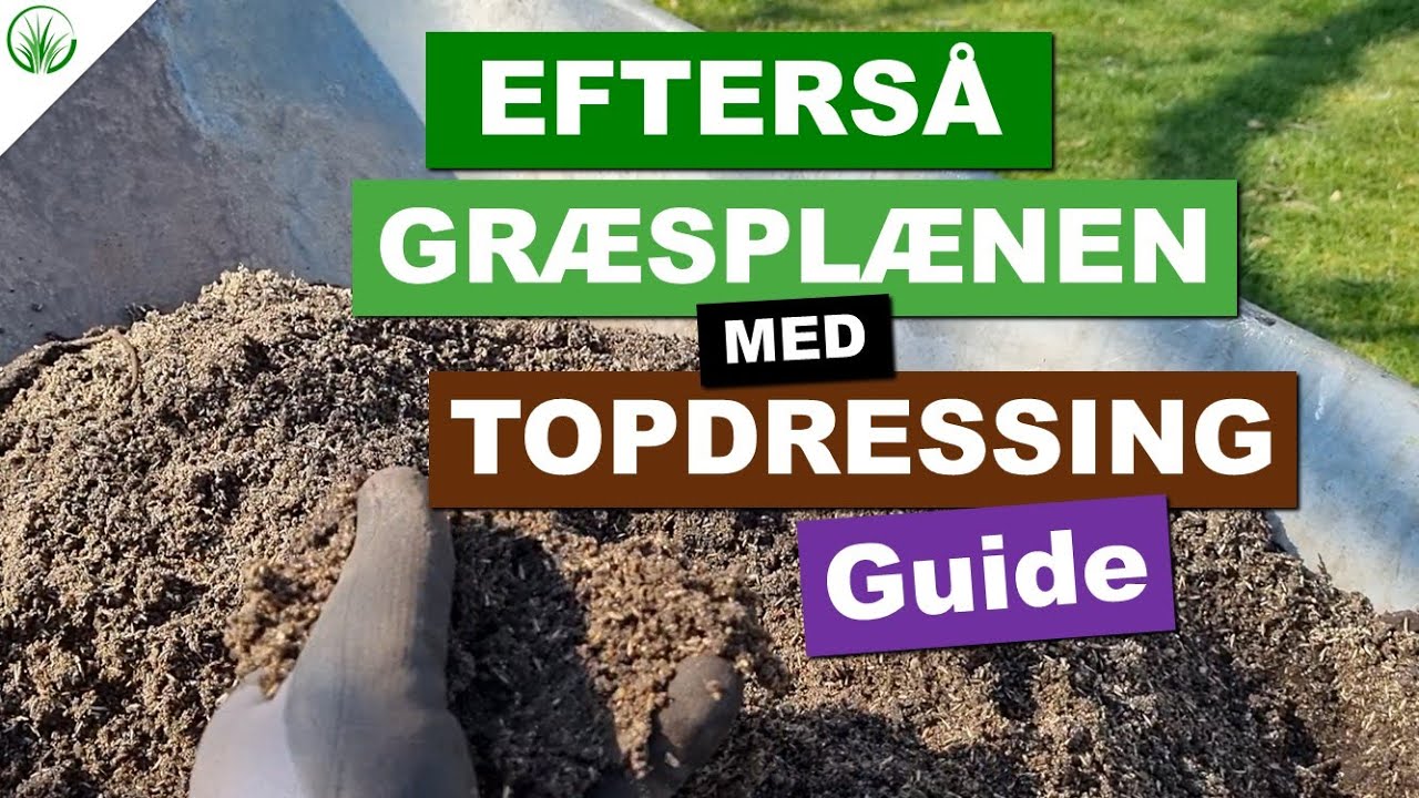 Guide: Efters&aring; bare pletter i gr&aelig;spl&aelig;nen med topdressing | 2021 Lawn.dk