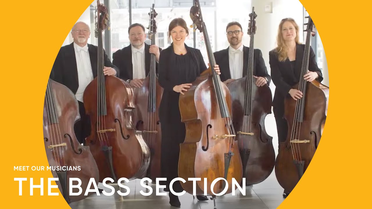 The Lowdown on Basses | Minnesota Orchestra