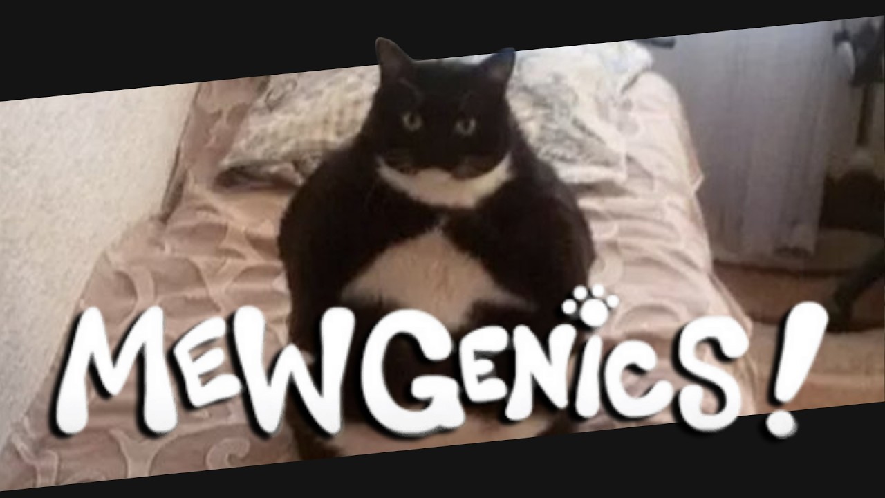 Сидим пердим / Mewgenics