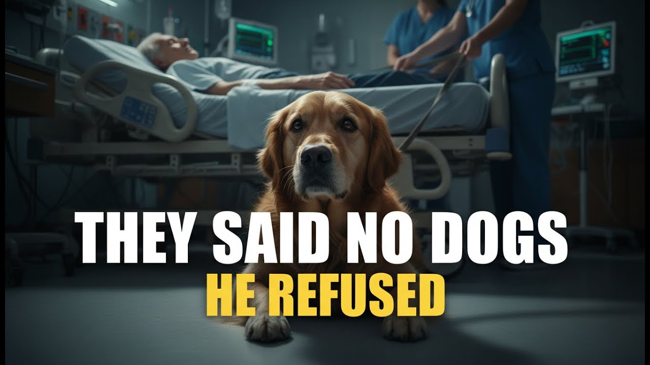 Doctors Said the Dog Had to Leave… He Refused