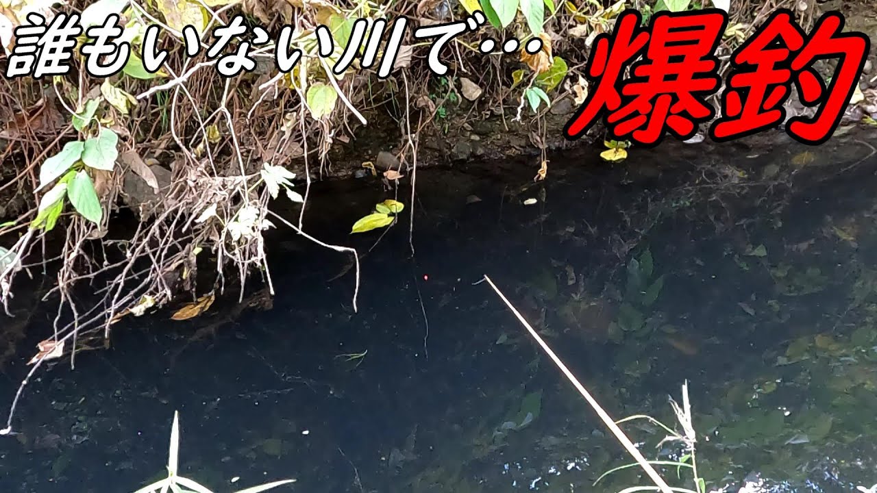 真冬の川で小物釣りしたら…まさかの爆釣！？
