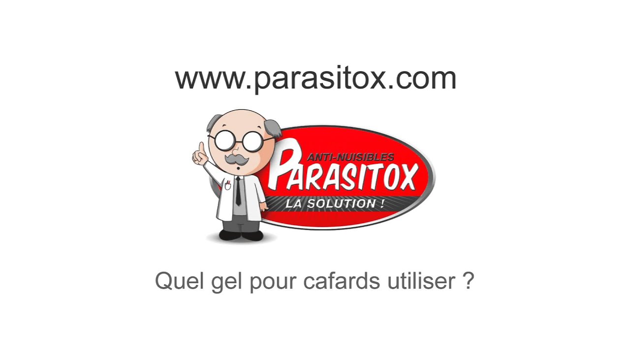 23 - comment se débarrasser des cafards - goliath gel