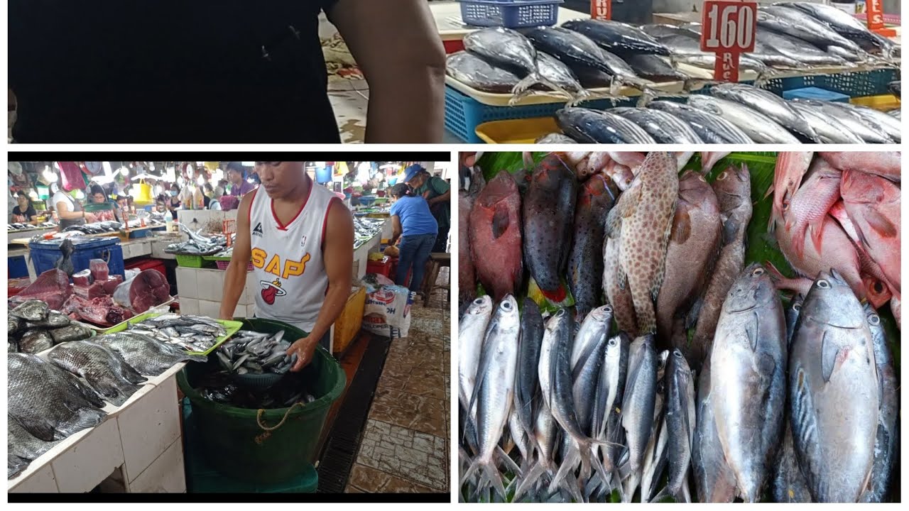 Bayawan City Fish Market