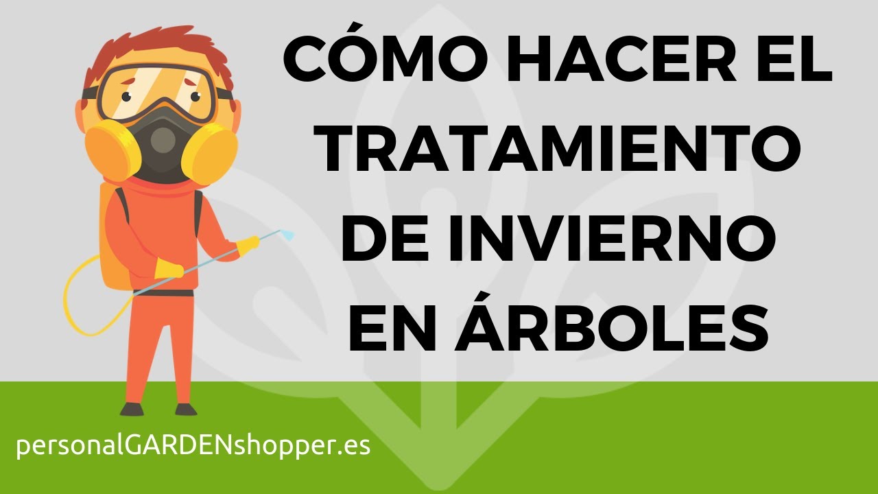 CÓMO HACER EL TRATAMIENTO DE INVIERNO EN ÁRBOLES FRUTALES Y ORNAMENTALES