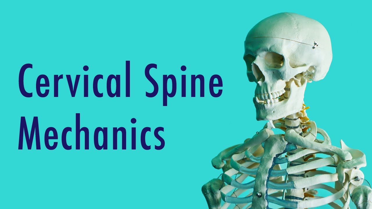 Cervical Spine Mechanics