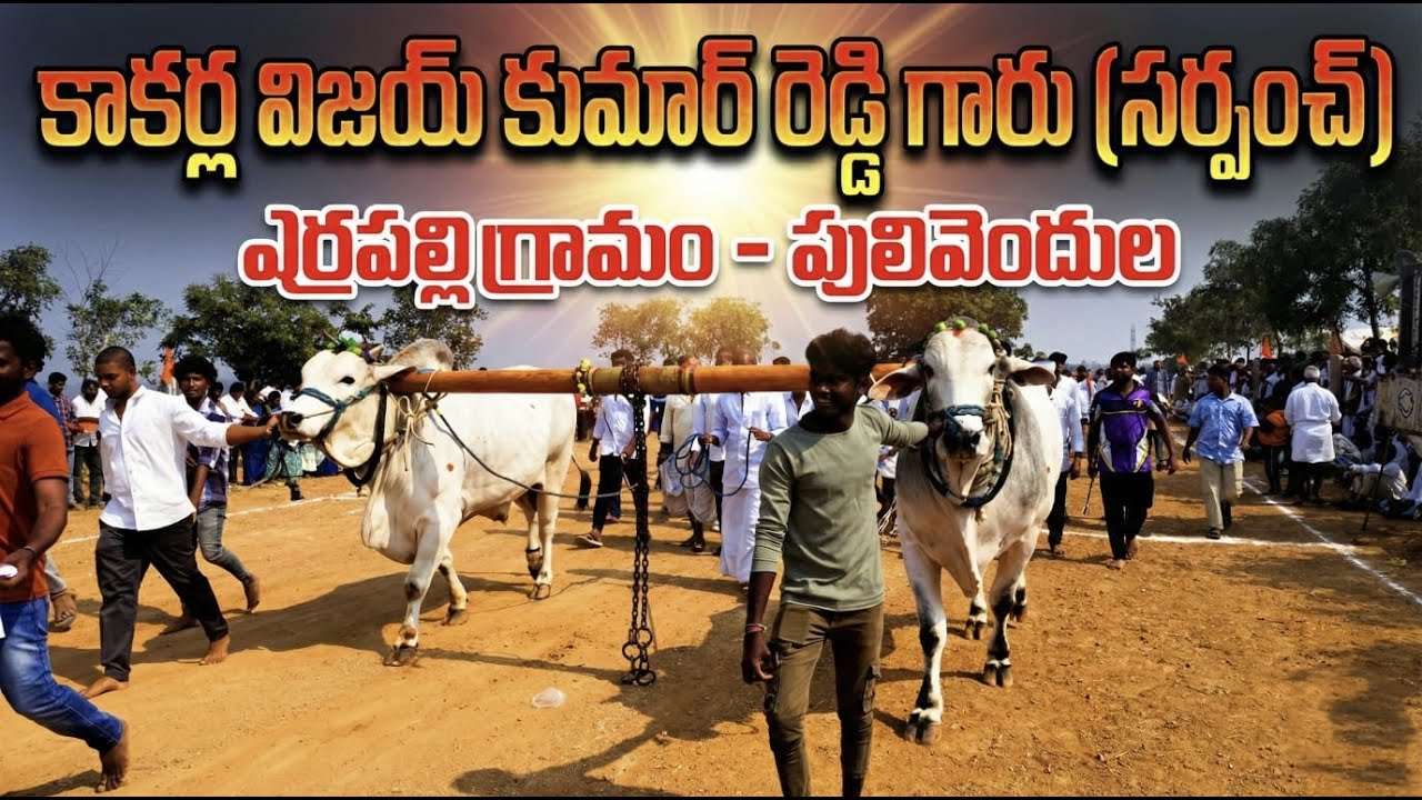 🚩21/2/2026చింతకాయలపల్లి ఓల్డ్ కేటగిరి 6జత