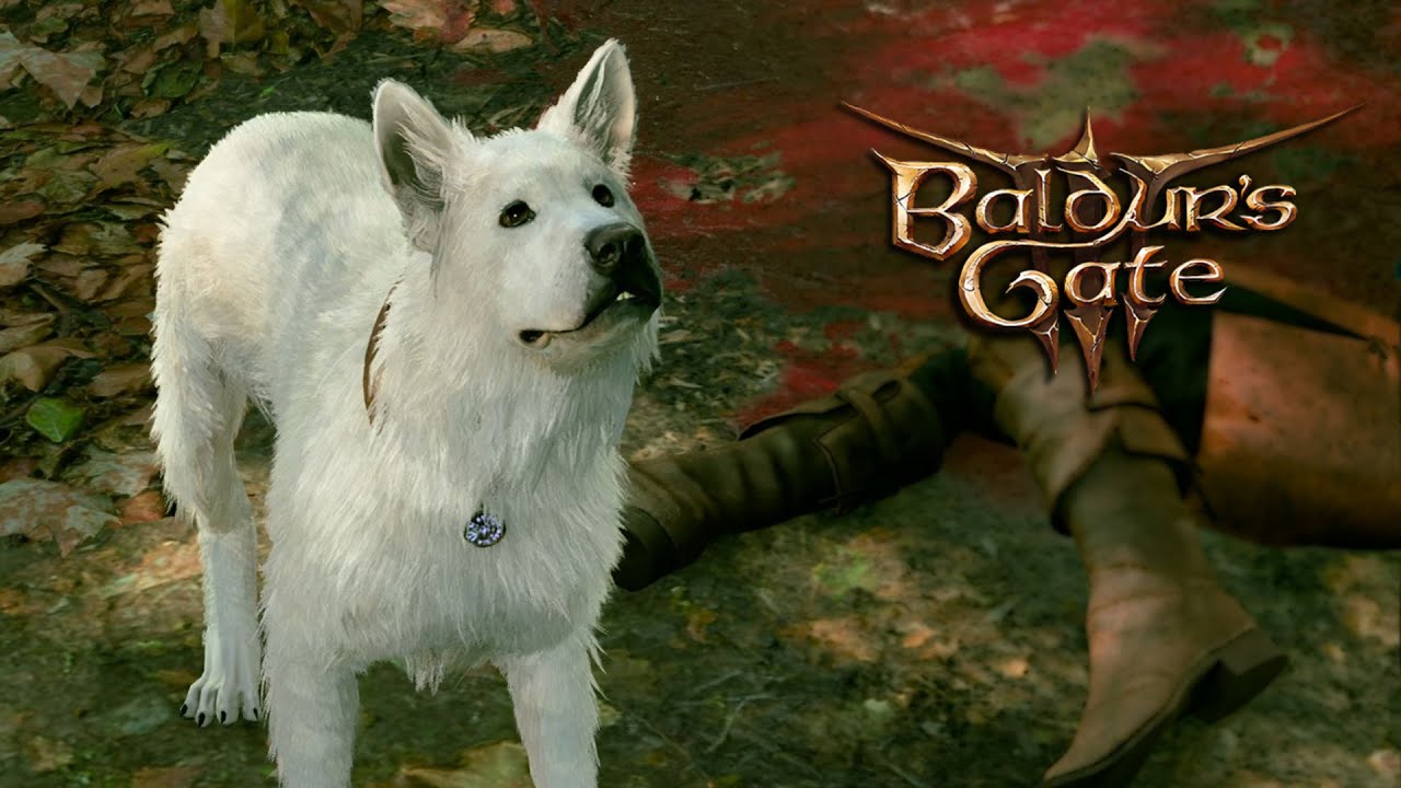 Meeting Scratch  |  BG3  |  Patch 6