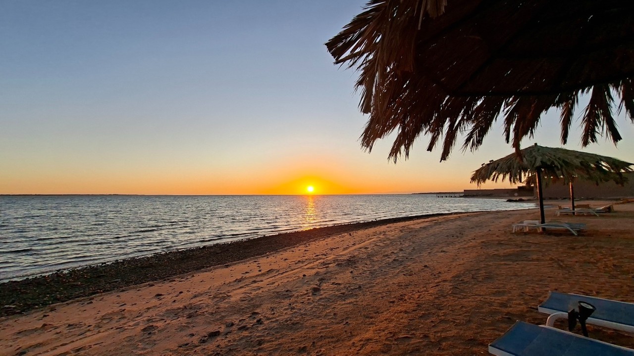 🌅 Evening Walk | Royal L'Azure Resort, Sharma 🌊 | Tabuk, NEOM, Saudi Arabia