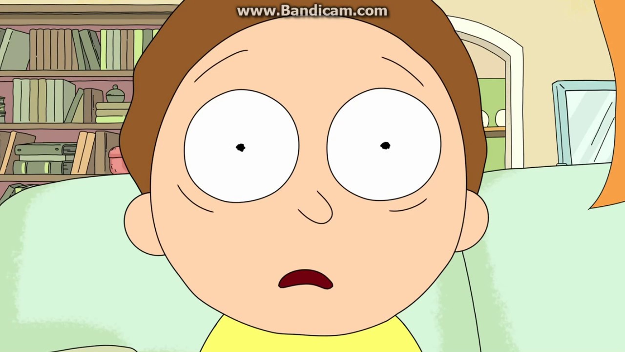 Rick & Morty /  S1E6 / Rick Potion No. 9 / End scene