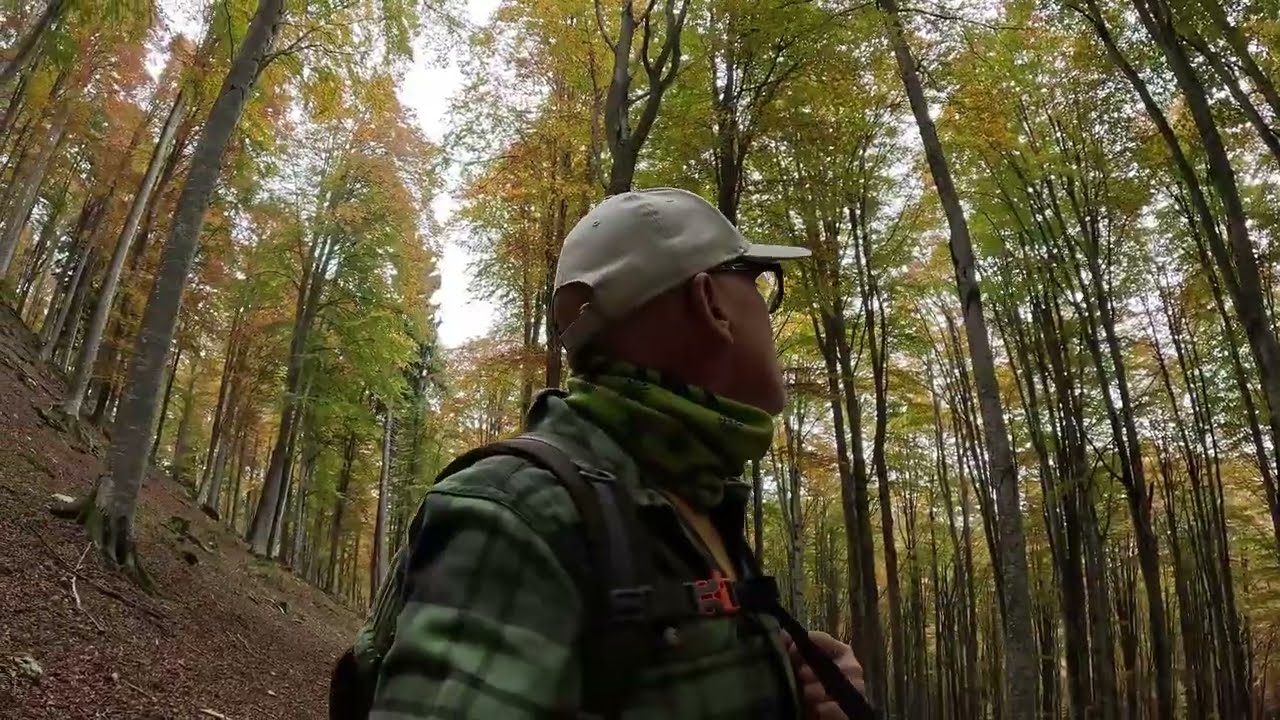 FOLIAGE SUL CANSIGLIO (i colori dell'autunno)