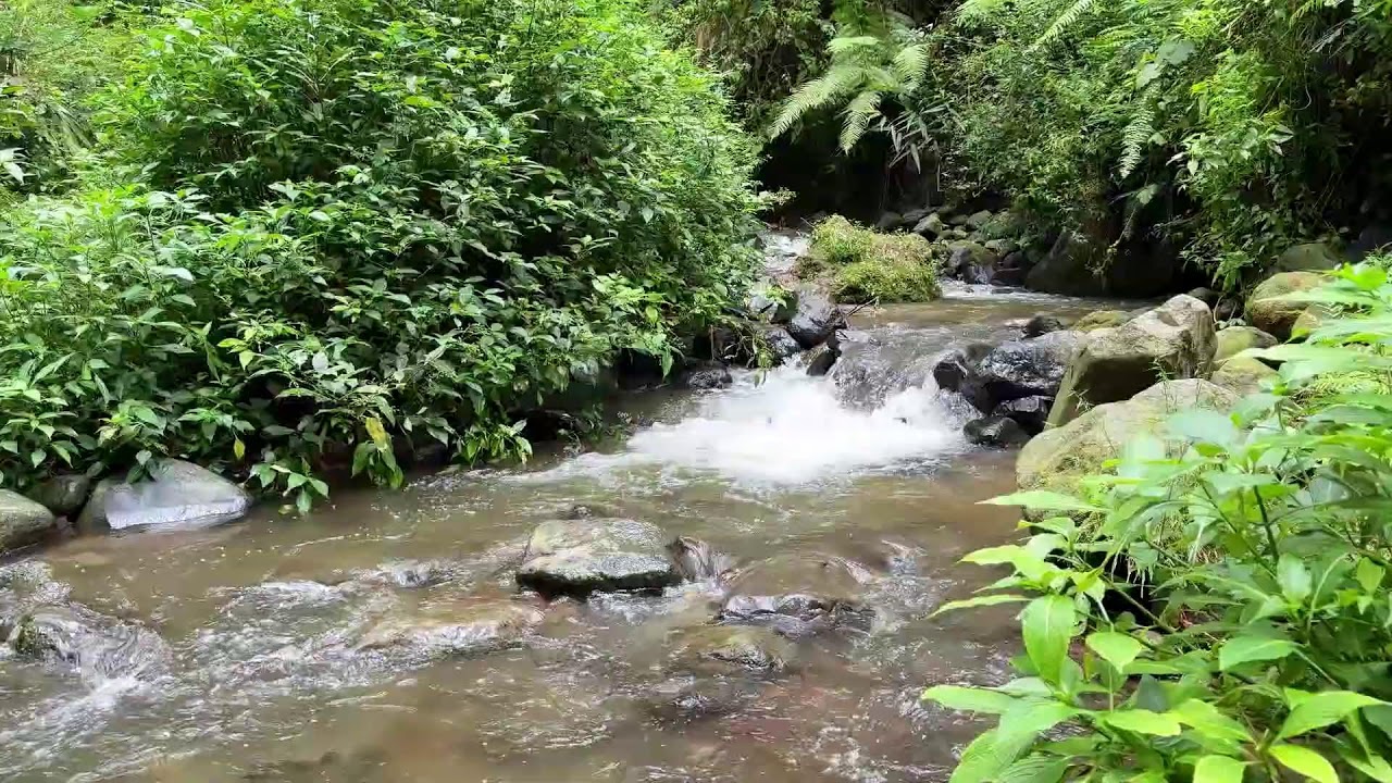 Relax with river sound near forest ground keeping deep sleep smooth and comforting