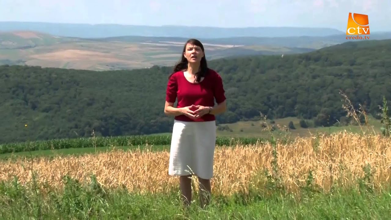 LIDIA PETRI  -   Mire preaiubit