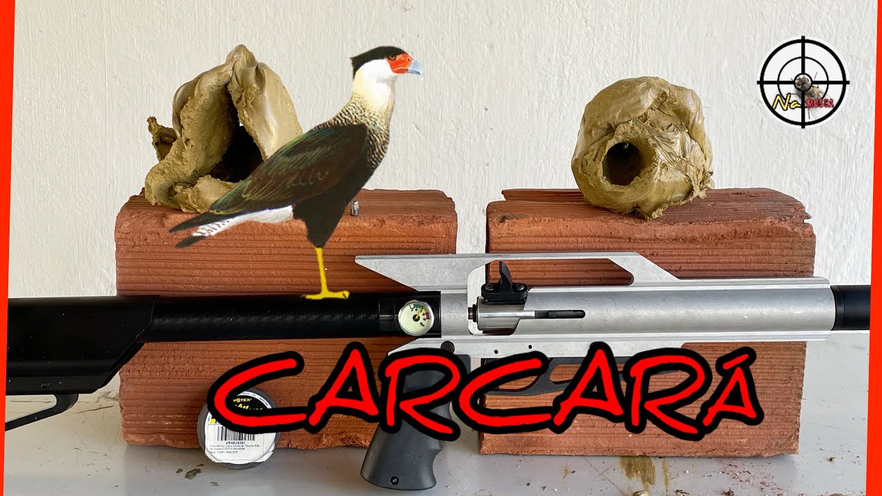 Pcp carcará
