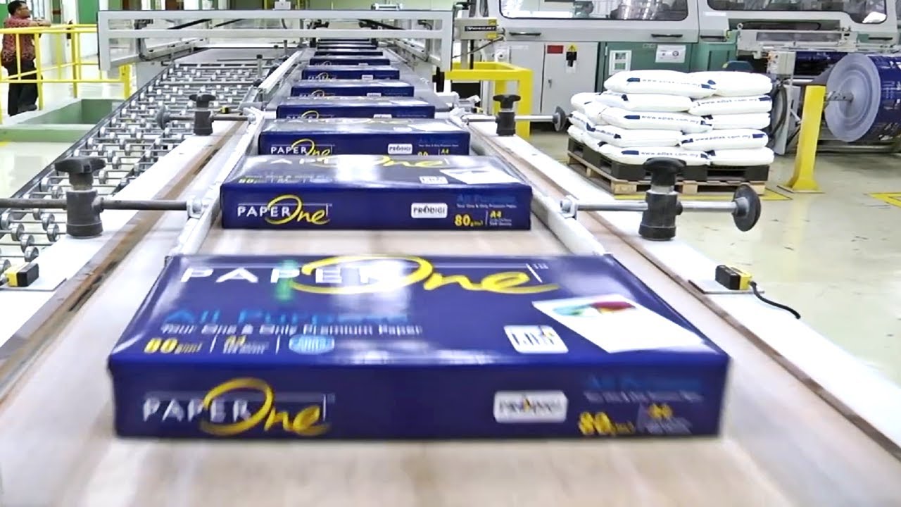 COMO se HACE el PAPEL de los &Aacute;RBOLES🌳| Como se CONVIERTE la MADERA en PAPEL📜