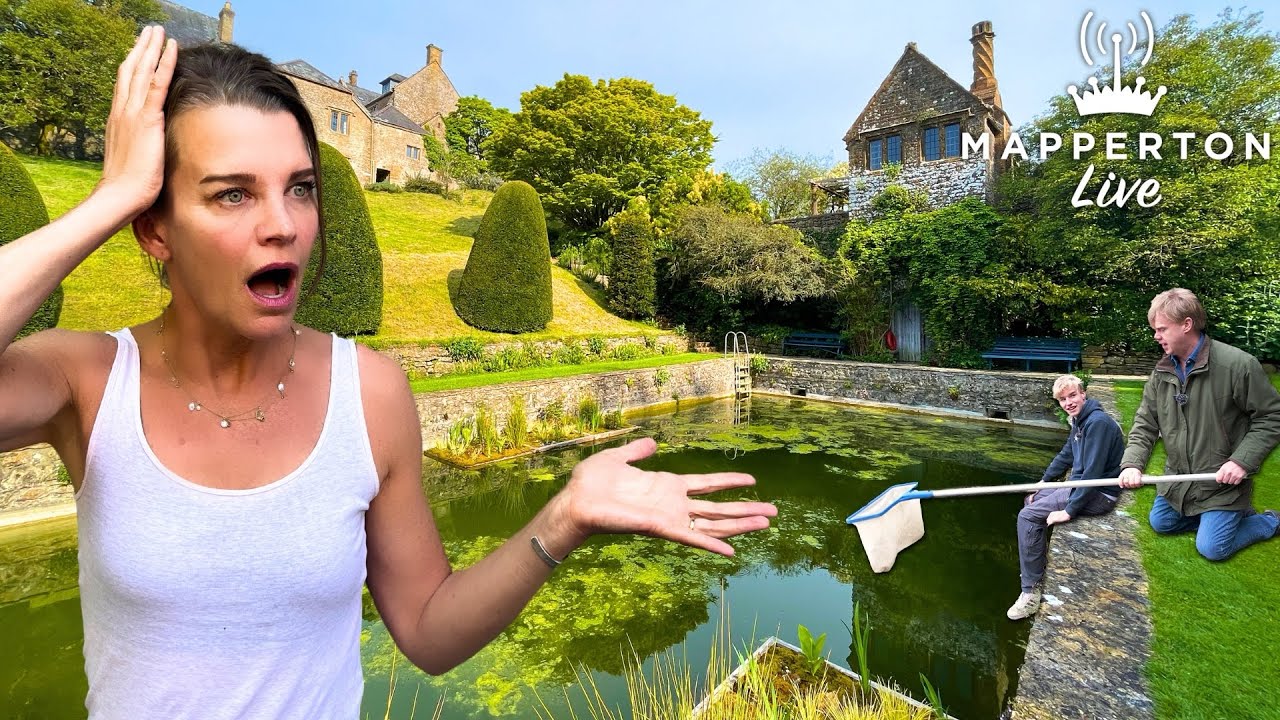 Our 18th Century Swimming Pool is now home to a Mysterious Creature!