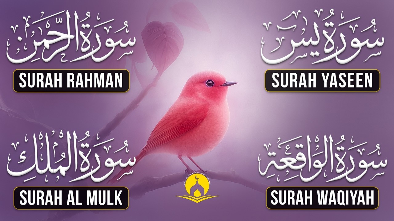 Very Nice Voice Surah Yaseen | Surah Rahman | Surah Waqiah | Surah Mulk l Reciter Ashraf Hussain 093