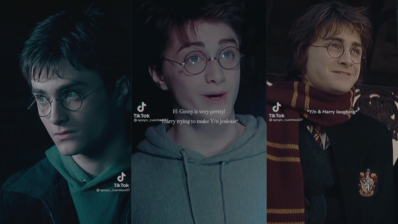 Harry Potter x Y/N TikTok POV