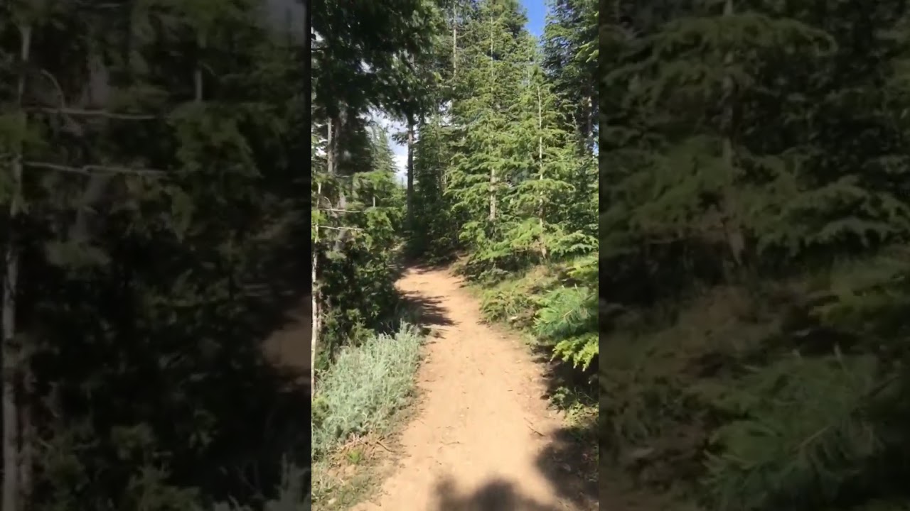 beauty of Tari Mangal district Kurram Parachinar #kurram #parachinarbeauty #tarimangal