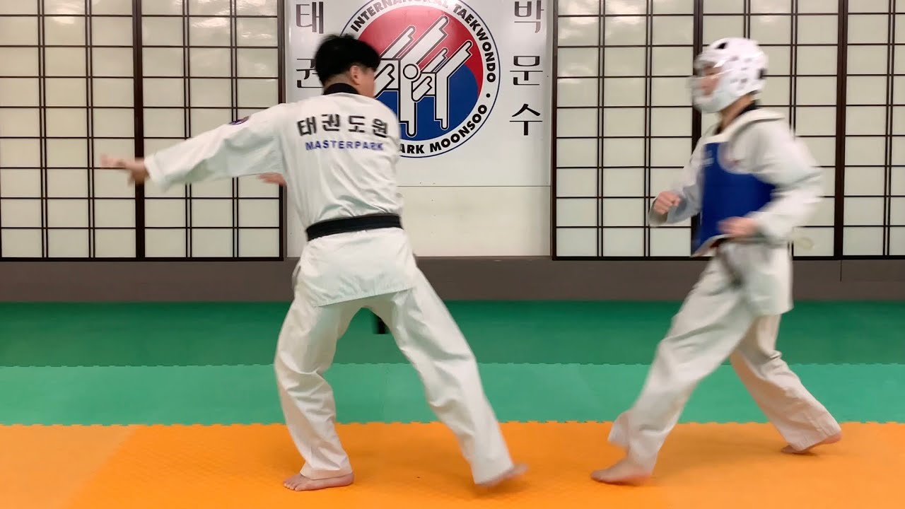 Poomsae Taegeuk SaJang 품새 태극사장 Master Park Moon Soo #taekwondo #demonstration #seminar #stage