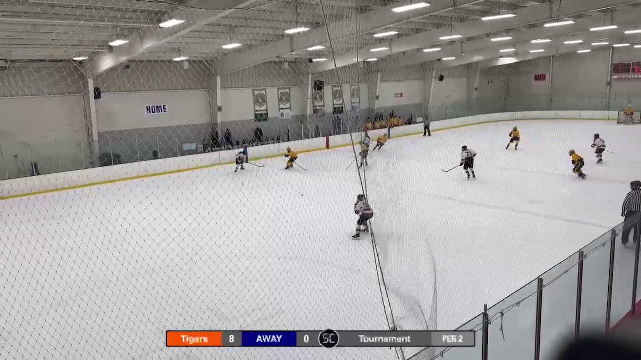 Tigers vs. Nashville Jr. Predators 2/16/26