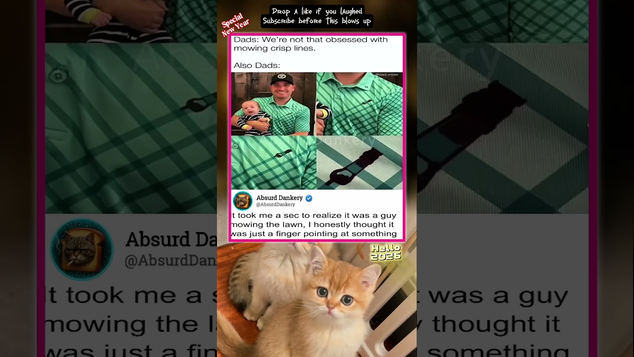 Dads Say They’re Chill… Then This Lawn Pattern Happens 😂 