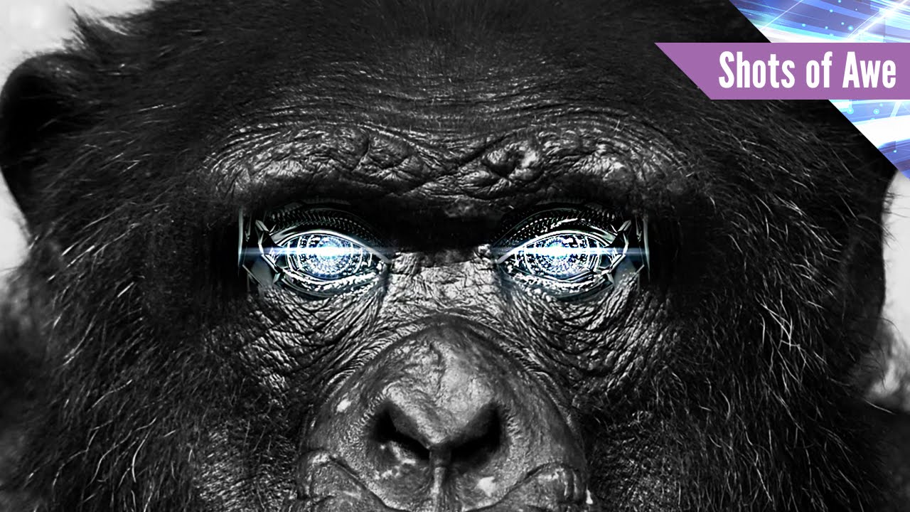 Actualizing The Human Imagination