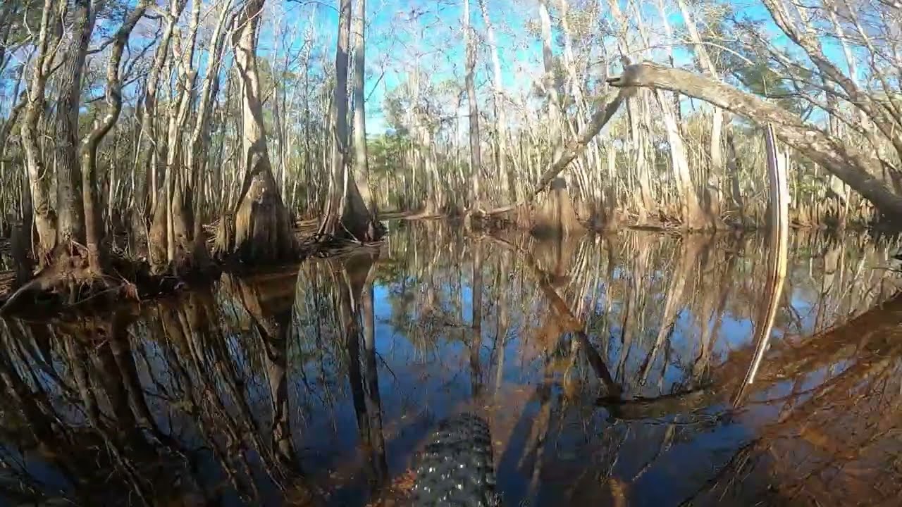 Pasco County Mountain Biking 