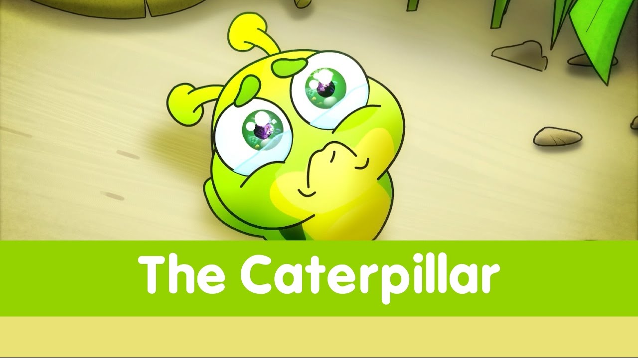 The Caterpillar - Toyor Baby English