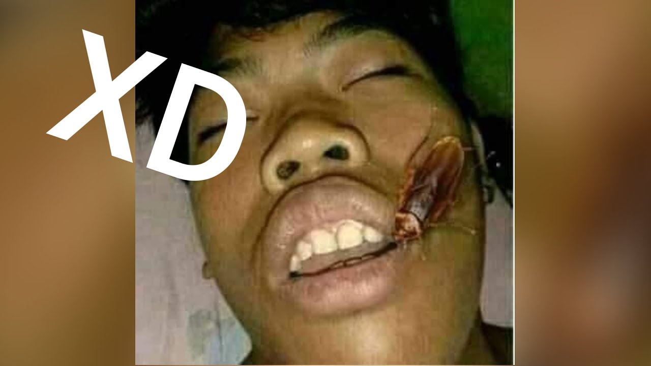SI TE RÍES PIERDES NIVEL DIOS 😂🤣🚨 [999.99 IMPOSIBLE NO REÍRSE] Videos De Risa Muy Gracioso 2026🤣