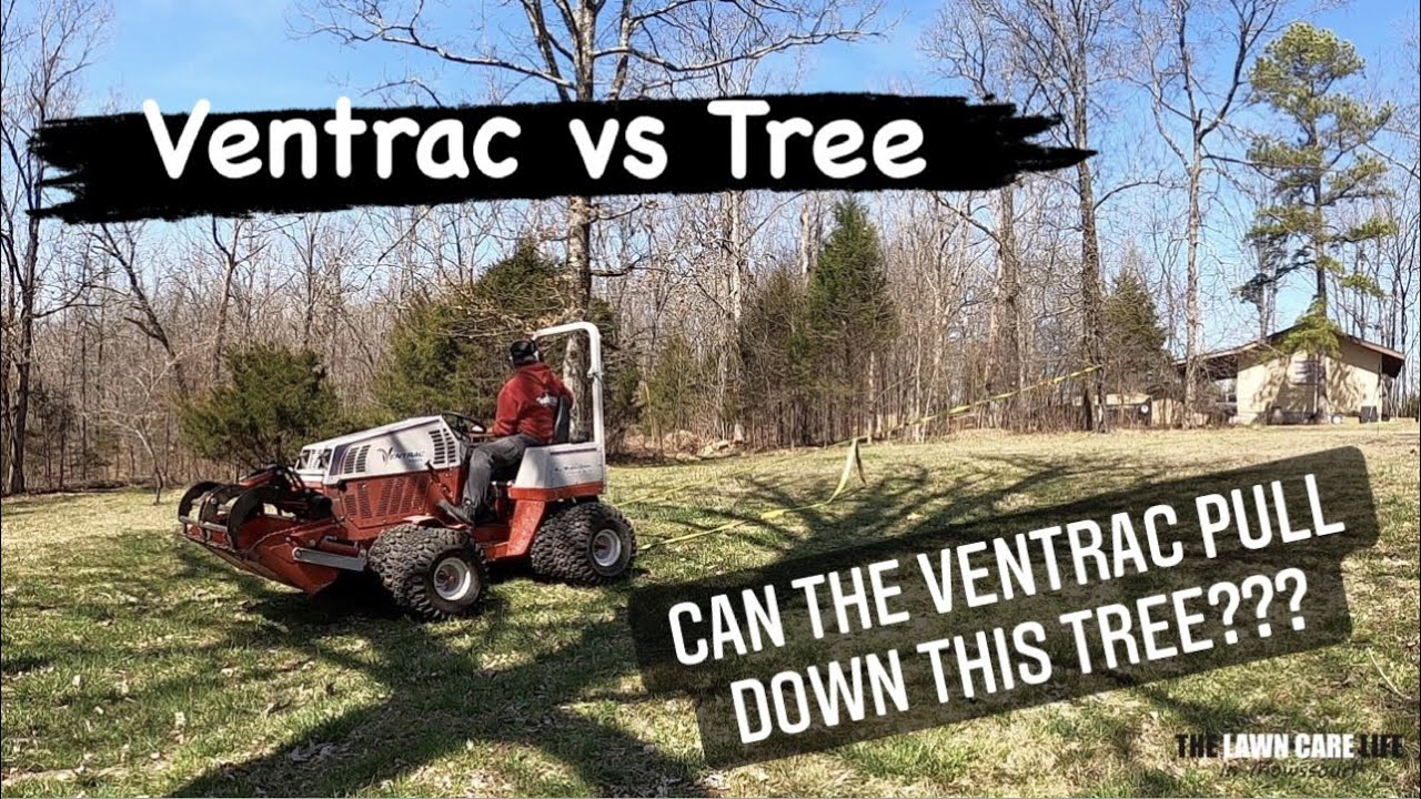 VENTRAC ПРОТИВ ДЕРЕВА — Сможет ли Ventrac свалить это дерево? Скоро узнаем...