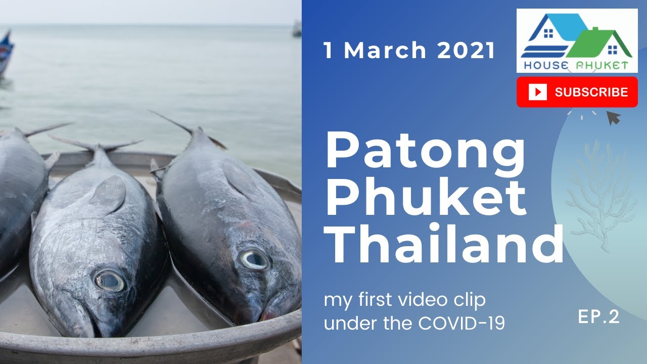 Patong Beach, Fresh fish from Andaman sea this morning Phuket Thailand March 1, 2021 | EP.2