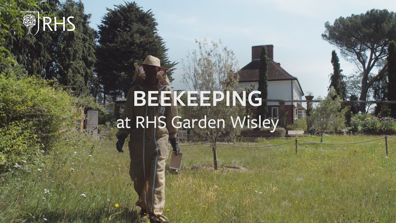 Beekeeping at RHS Garden Wisley | The RHS
