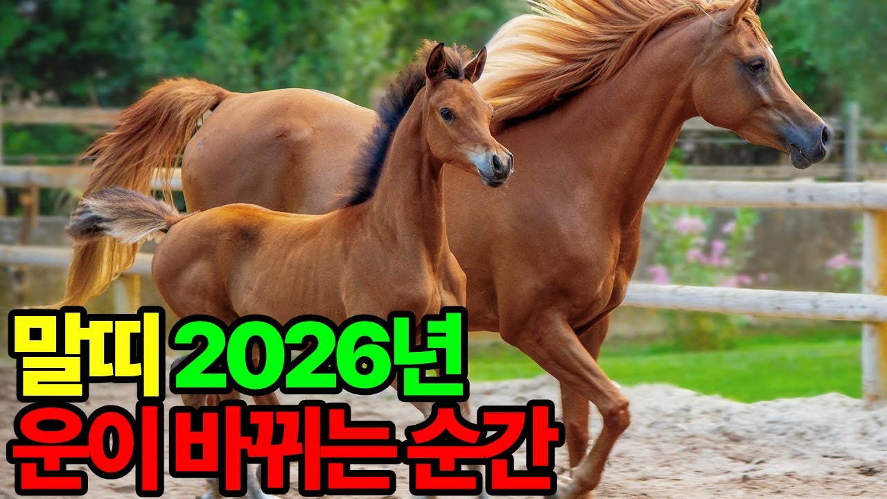 말띠 2026년 운세