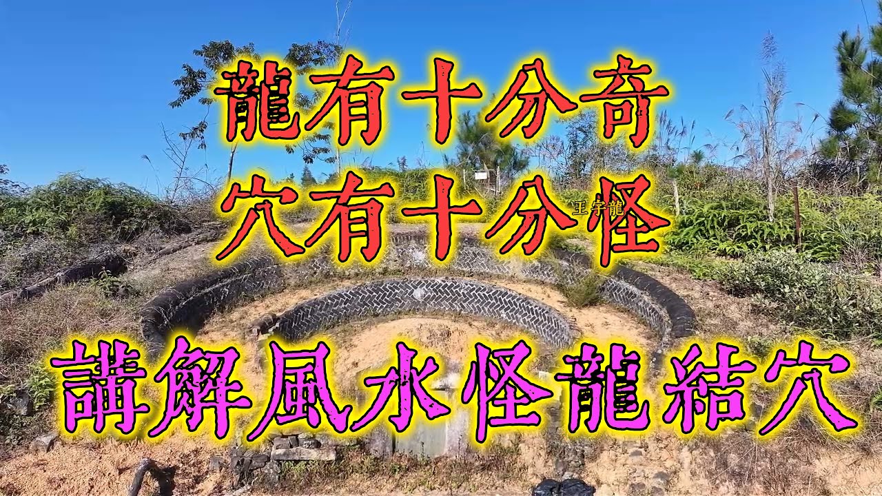 怪龙结穴葬木节——王字龙风水先生详细讲解龙局情况