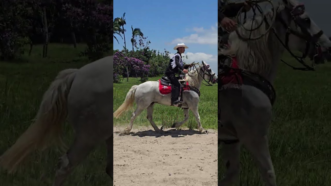 Beto Carrero - Passeio de Trem 2026