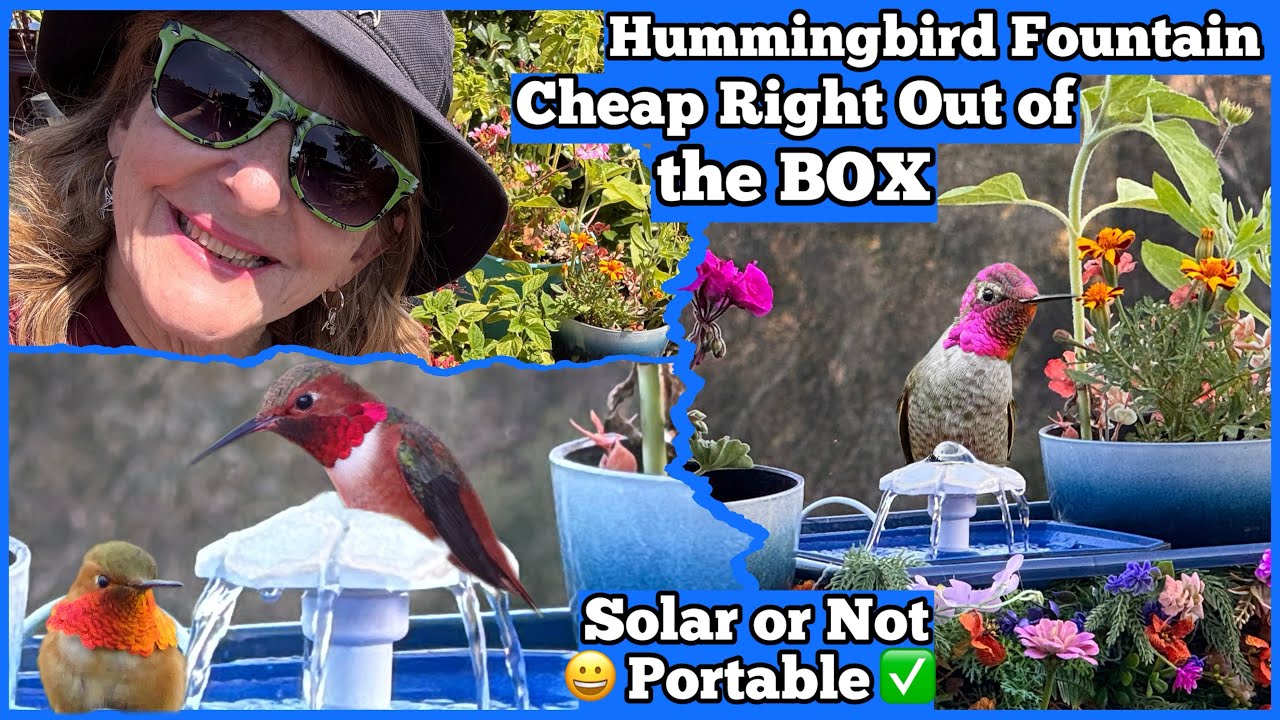 How To NOT Make Hummingbird Water Fountain Birdbath ALL Birds Love🐦Battery or Solar Powered PORTABLE